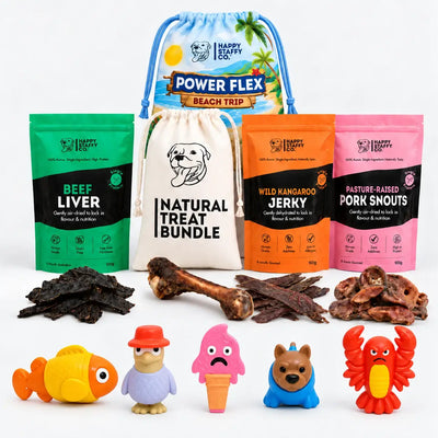 Treat & Toy Combo (PowerFlex™ Beach Trip)