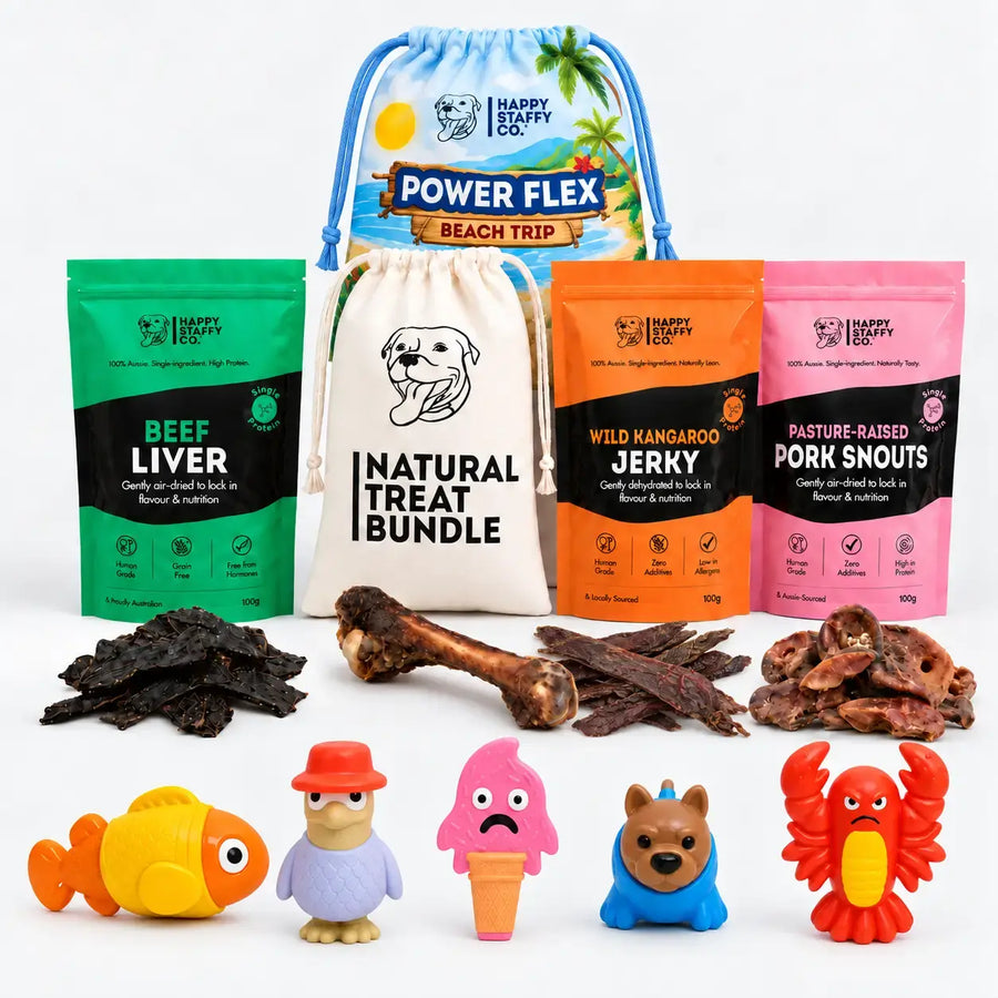 Treat & Toy Combo (PowerFlex™ Beach Trip)