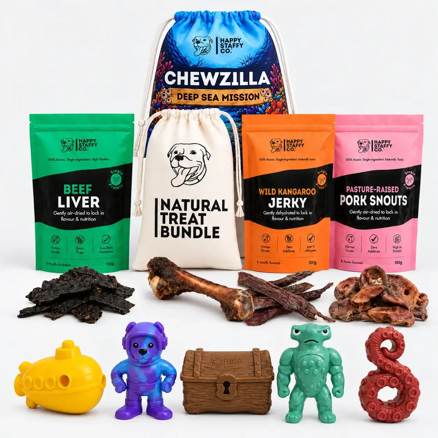 Treat & Toy Combo (Chewzilla® Deep Sea Mission)