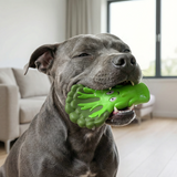Broccoli Crunch