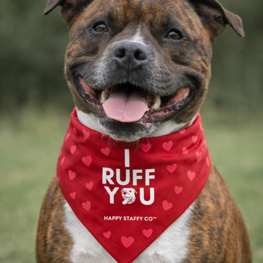 I Ruff You Bandana