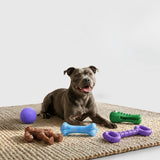 Best Selling Toys Bundle