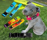 <p><strong>Free Durable Collar</strong></p>