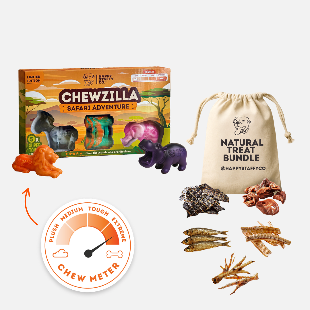 Treat & Toy Combo (Chewzilla® Certified)