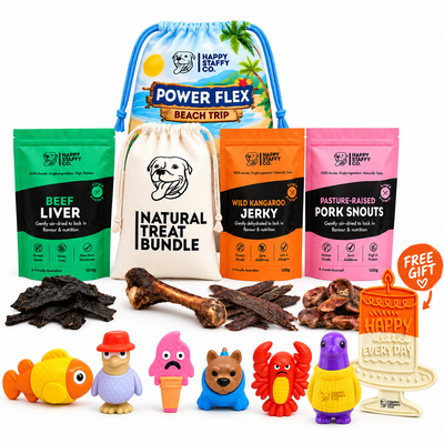 Beach Trip Birthday Pack
