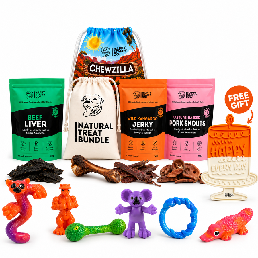Aussie Outback Birthday Pack