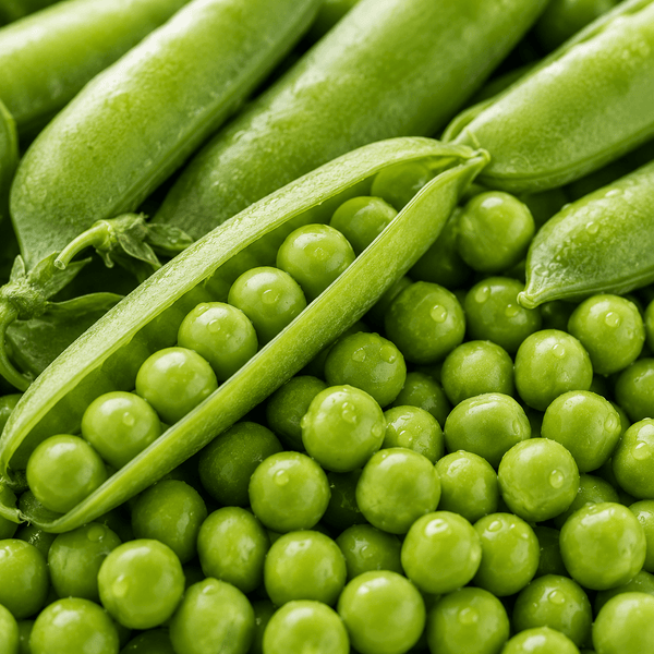 Organic Pea Fibre