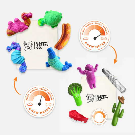 Chewzilla® X Power Chewers Bundle