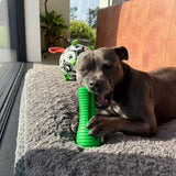 Crocodile Dental Chew