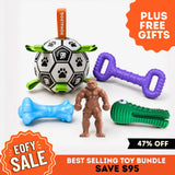 Best Selling Toys Bundle