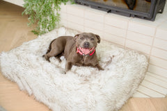 Orthopedic Memory Foam Bed + Faux Fur Blanket Cover