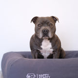 Orthopedic Memory Foam Bed + Pure Cotton Cover