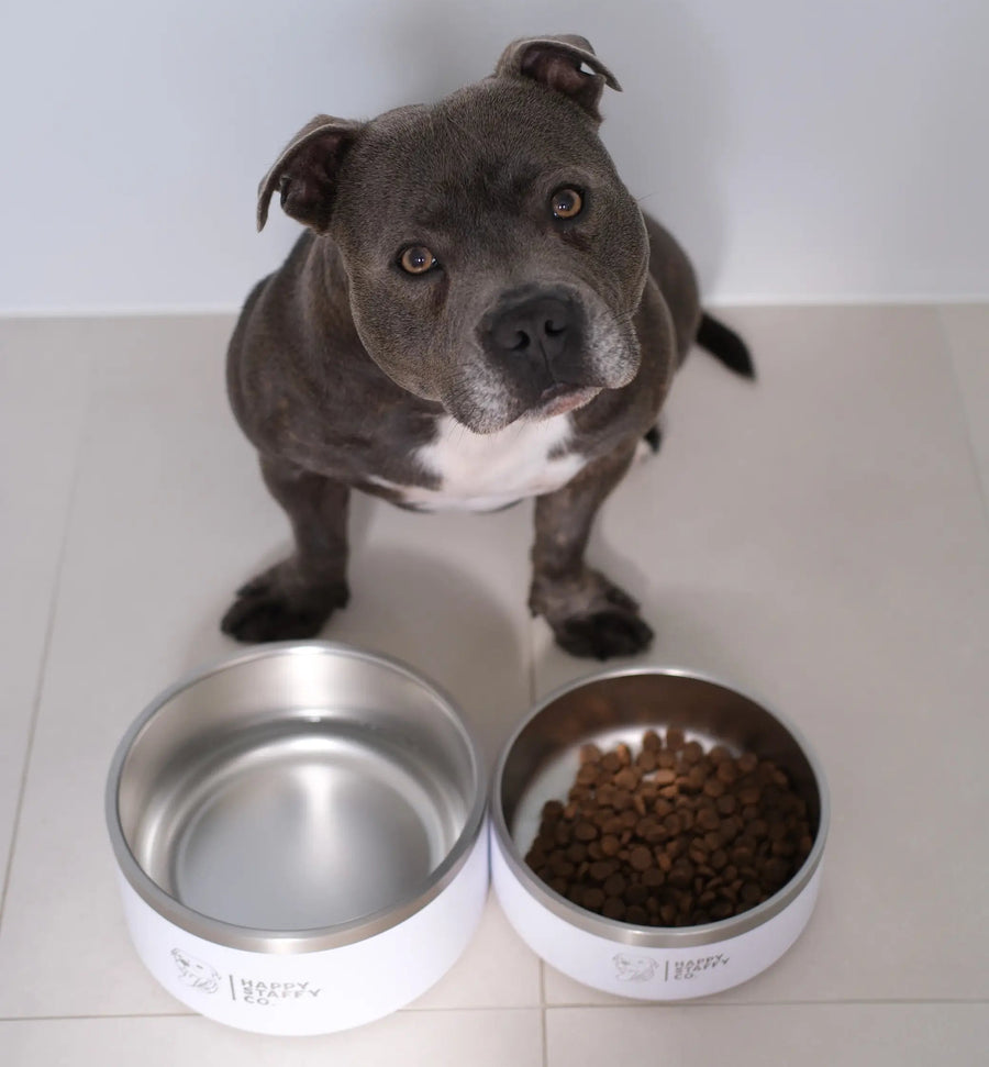 Food & Water Bowl Combo