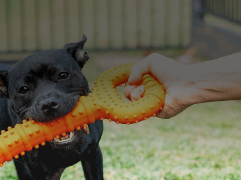 Tommy Tug Handle | Tug Handles for Dogs – Happy Staffy Co.