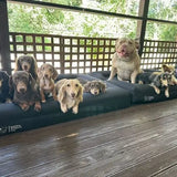 Durable Bed Cover