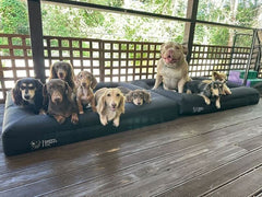 Durable Bed Cover