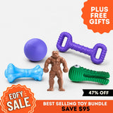 Best Selling Toys Bundle