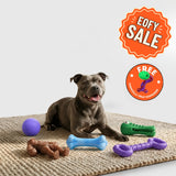 Best Selling Toys Bundle