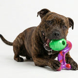 Chewzilla® Treat Dispenser