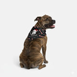 Christmas Bandana - Free Gift