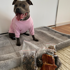 Natural Treat Bundle