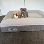 Orthopedic Memory Foam Bed + Pullover Blanket Cover