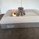 Orthopedic Memory Foam Bed + Pullover Blanket Cover