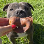 Pork Snouts