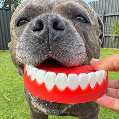 Chatter Chompers