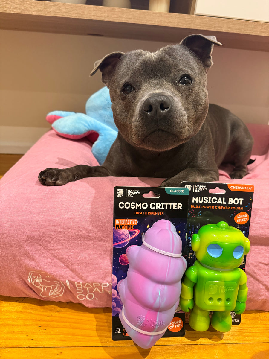 Cosmo Critter