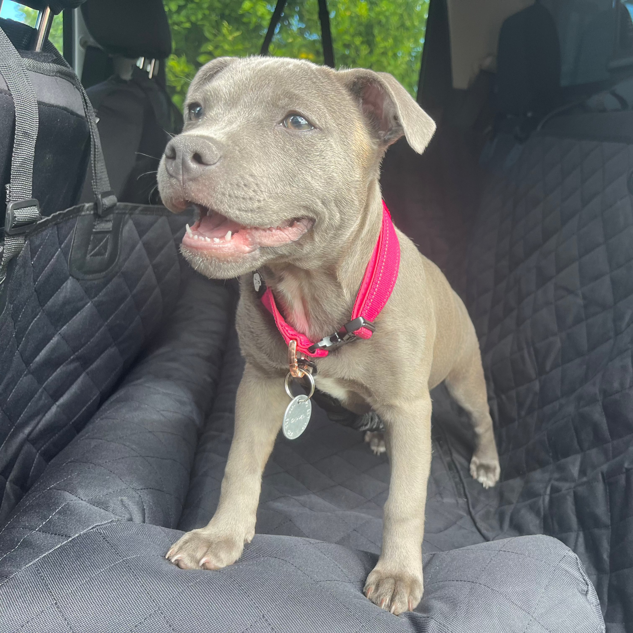 Premium Car Seat Protector
