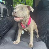 Premium Car Seat Protector