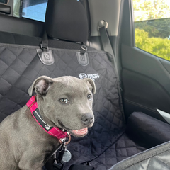 Premium Car Seat Protector