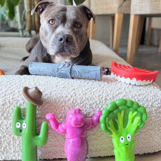 Chewzilla® X Power Chewers Bundle