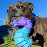 Power Chewers Collection