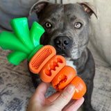 Power Chewers Collection