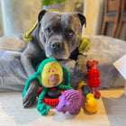 Dog surrounded by multiple dog toys including the Power Chew Phone dog toy.