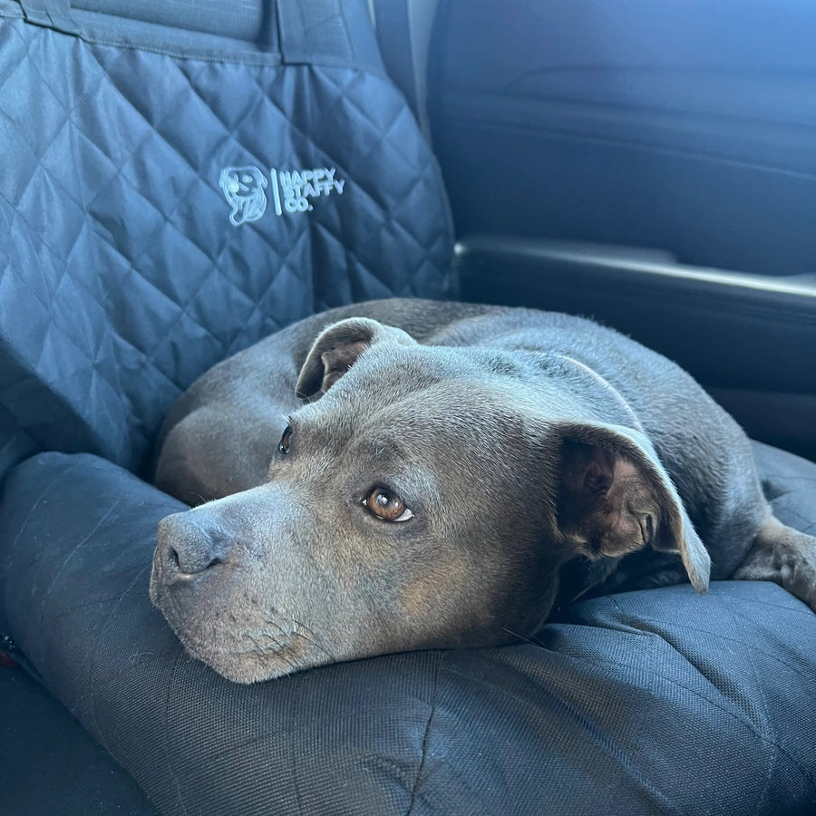 Single Car Seat Protector