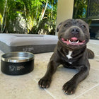 Food & Water Bowl Combo
