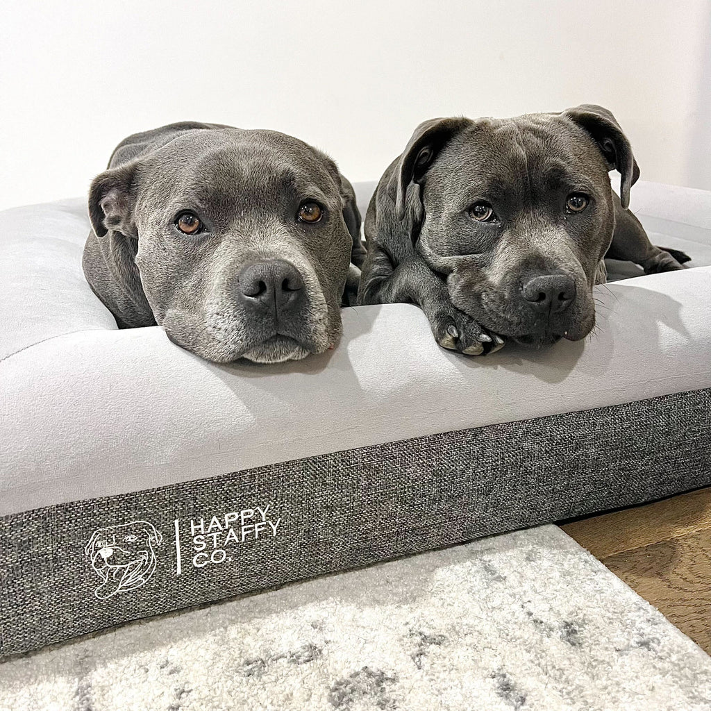 Orthopedic Memory Foam Dog Bed | Happy Staffy Co. - Large Size Canine Orthopedic Memory Foam Beds