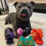 Chew-Proof Bundle
