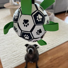 Owner showing the Ronaldog Soccer Ball dog toy to their dog.