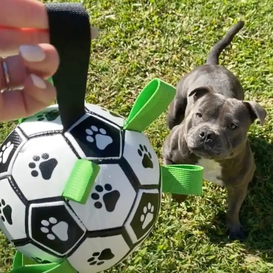 Owner playing with dog while presenting the Ronaldog Soccer Ball dog toy.
