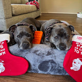 Ultimate Christmas Bundle