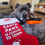 Ultimate Christmas Bundle