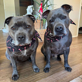 Ultimate Christmas Bundle