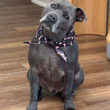 Christmas Bandana - Free Gift