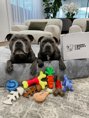 Treat & Toy Combo (Power Chewers Collection)