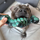 Dog biting the Chewzilla Sea Chomper chew toy during play.