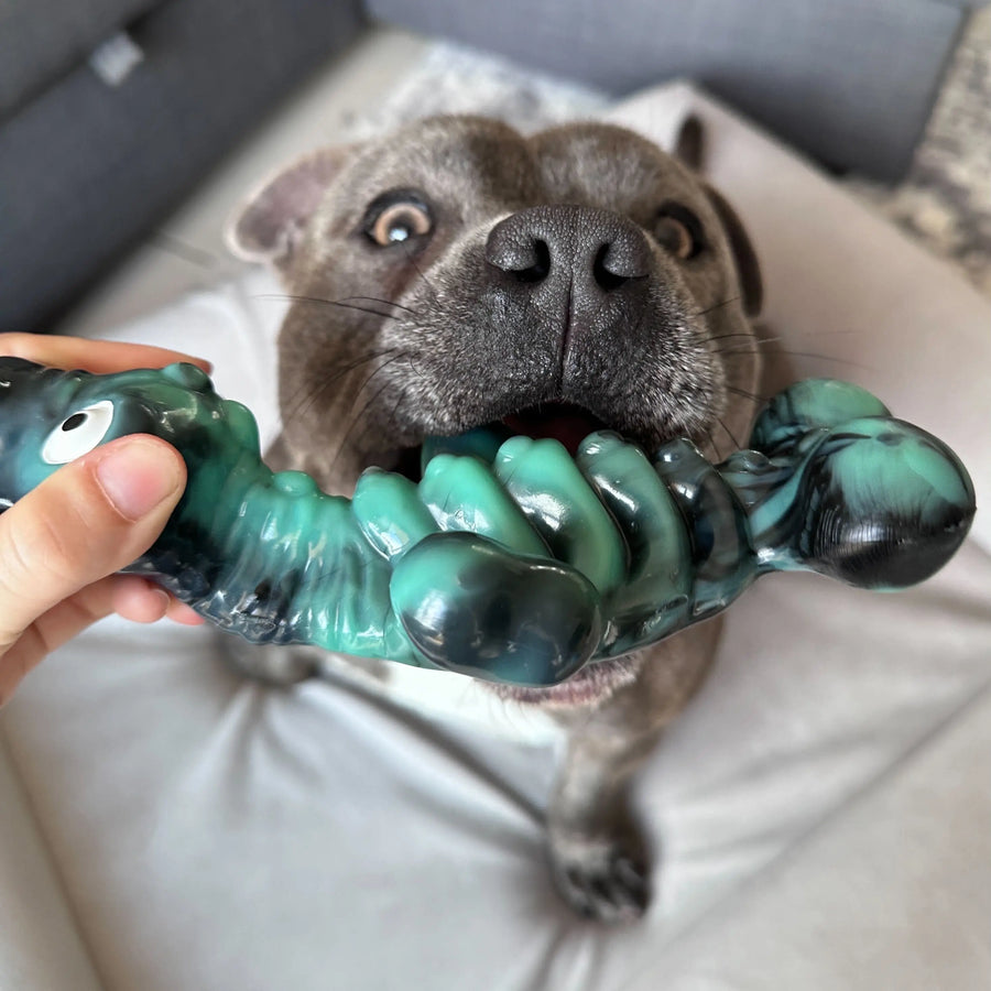 Dog biting the Chewzilla Sea Chomper chew toy during play.